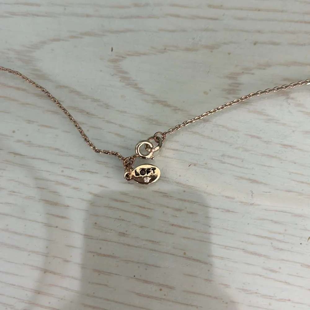Ann Taylor LOFT Gold Circle Necklace - Picture 4 of 6